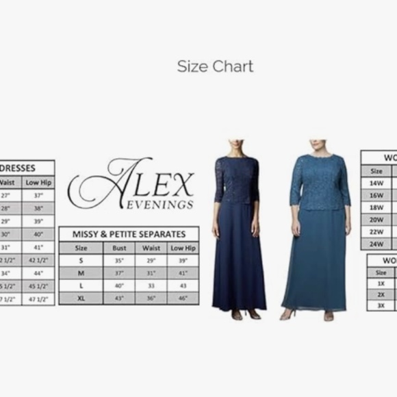 NWT Alex Evenings Short Embroidered Dress - Size 14 - Picture 4 of 12